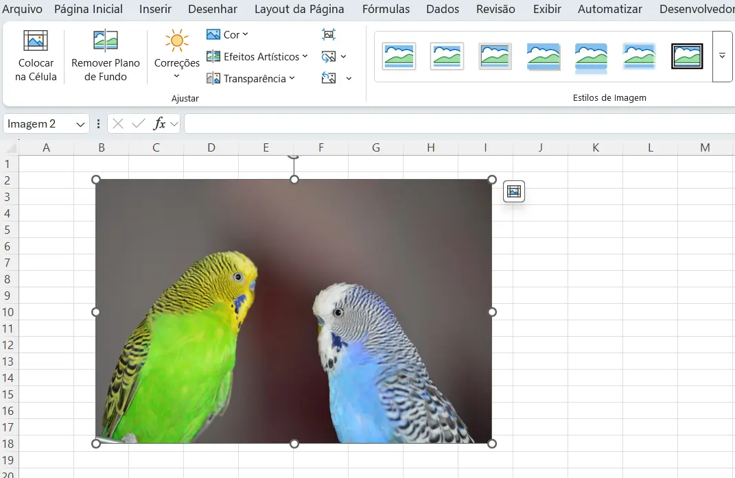 Imagens na Planilha de Excel