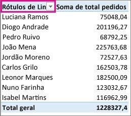 Tabela Dinâmica no Excel