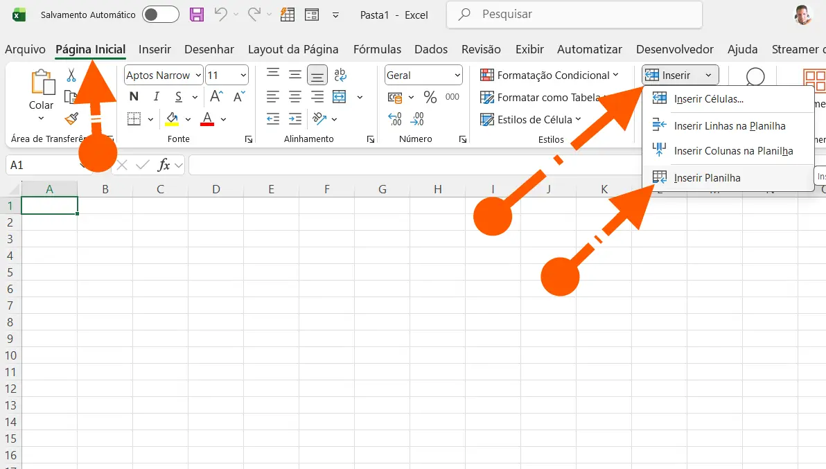 Usando a Guia Página Inicial Para Adicionar Mais Planilhas