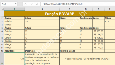 Função BDVARP do Excel