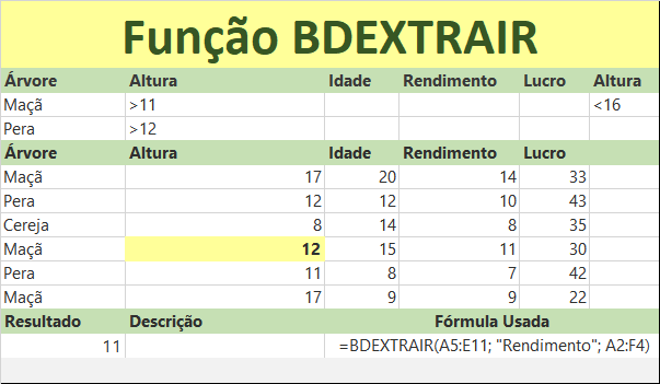 Função BDEXTRAIR do Excel