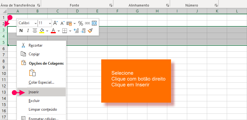 Inserir linhas na planilha de excel