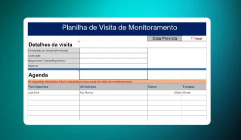 Planilha de Visitas de Monitoramento, Baixe Grátis