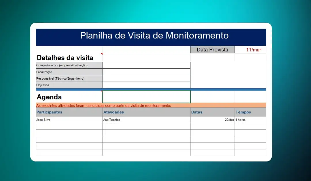 Planilha de Visitas de Monitoramento, Baixe Grátis