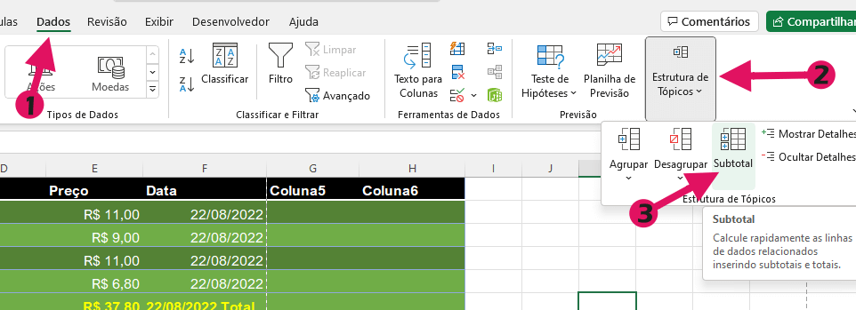 DADOS, depois Estrutura de Tópicos no grupo Revisão