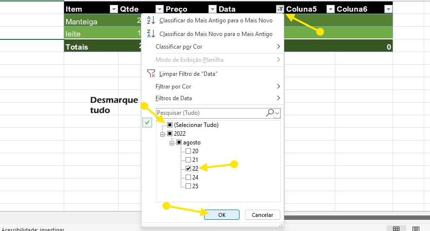 Selecionando filtragem de dados para ver o subtotal