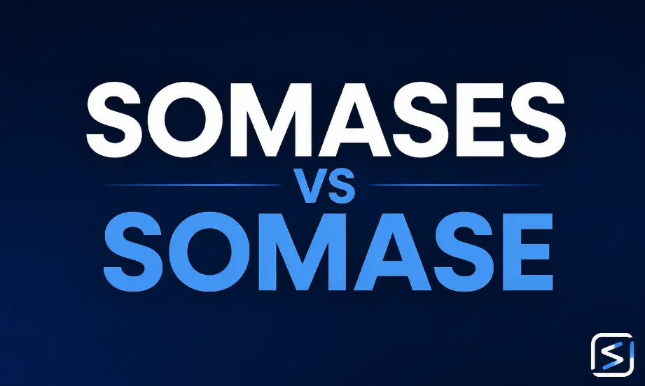 SOMASES vs SOMASE